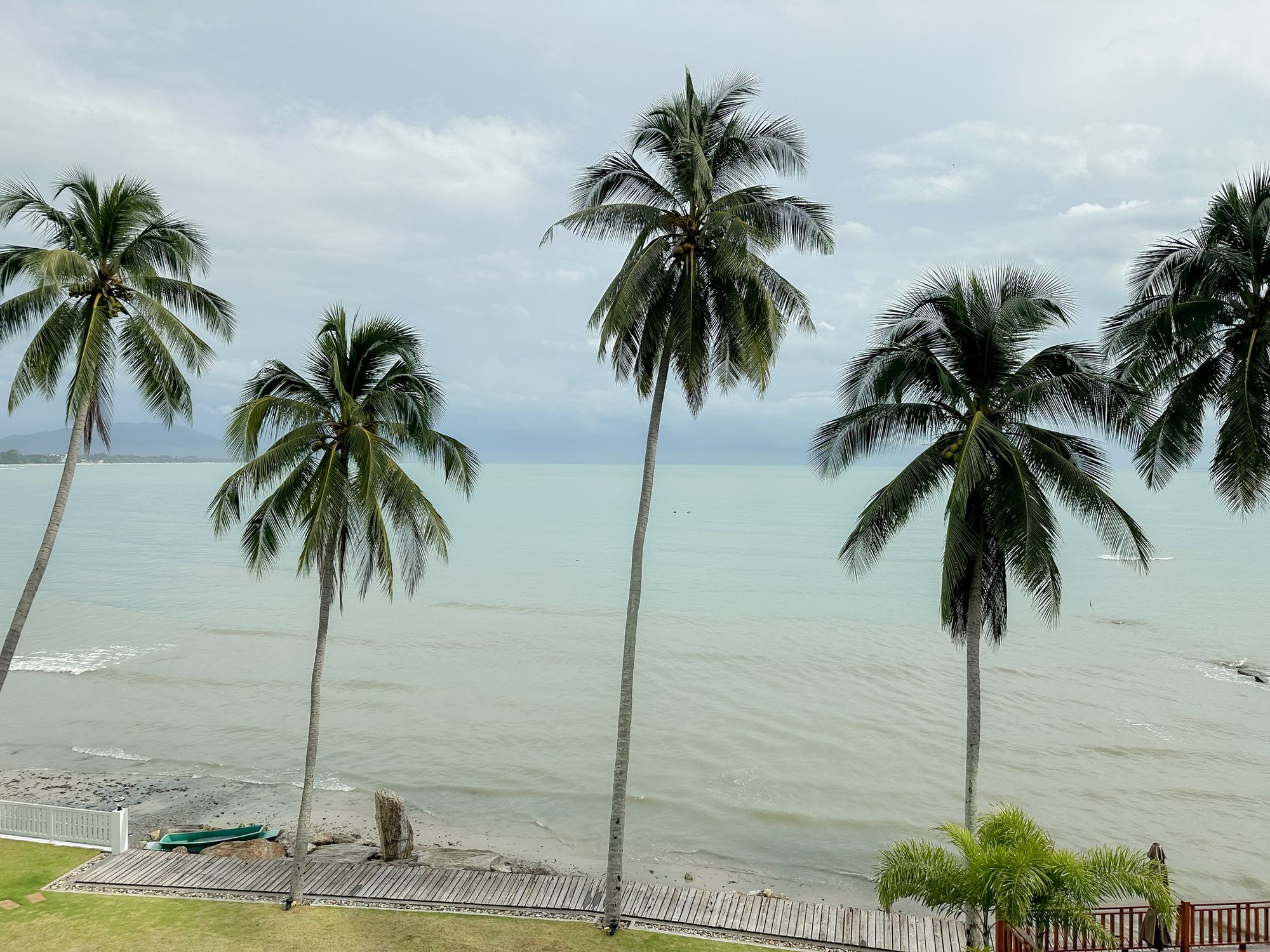 Coconut palms along the Khanom shore
